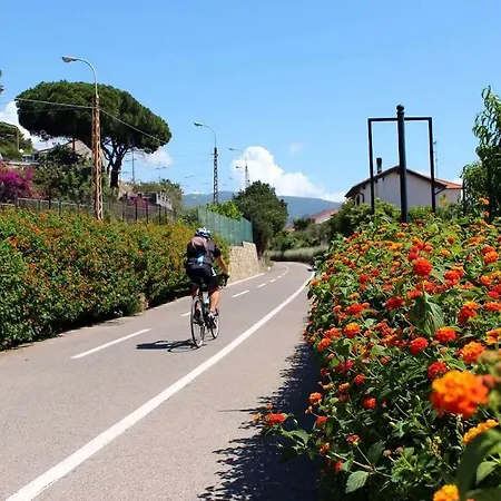 Anne Сasa de vacaciones *